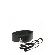 gp-collar-and-leash-black (1).jpg